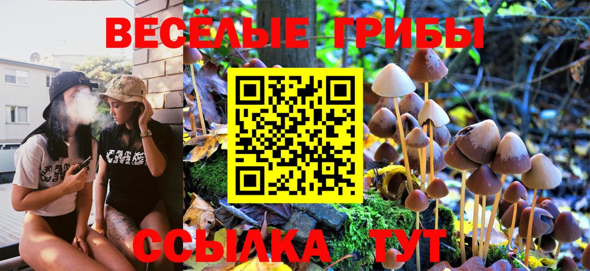 Галлюциногенные грибы Psilocybine cubensis Александров