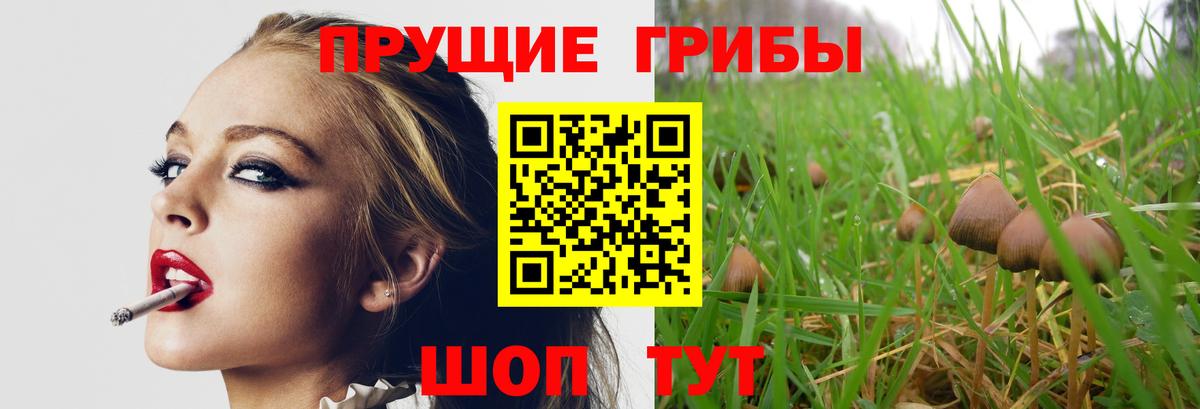 Александров  Псилоцибиновые грибы GOLDEN TEACHER  Вход с VPN 