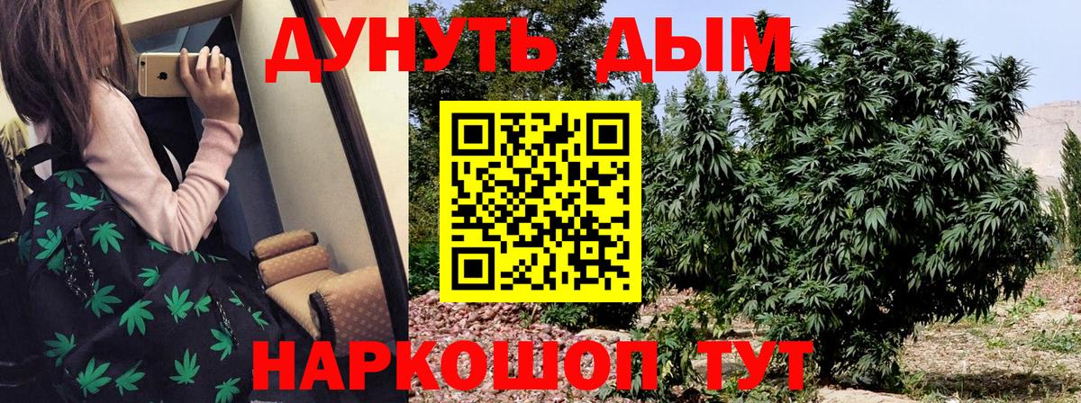 Конопля гибрид  Вход с VPN  МАРИХУАНА семена  Александров  Шишки марихуана THC 21% 